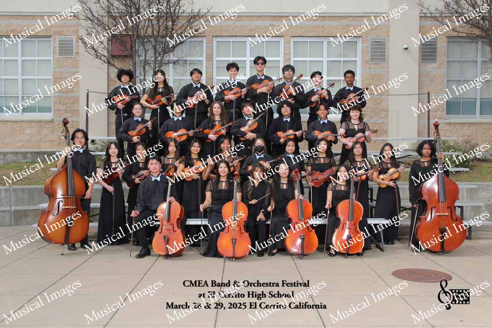 Musical Images